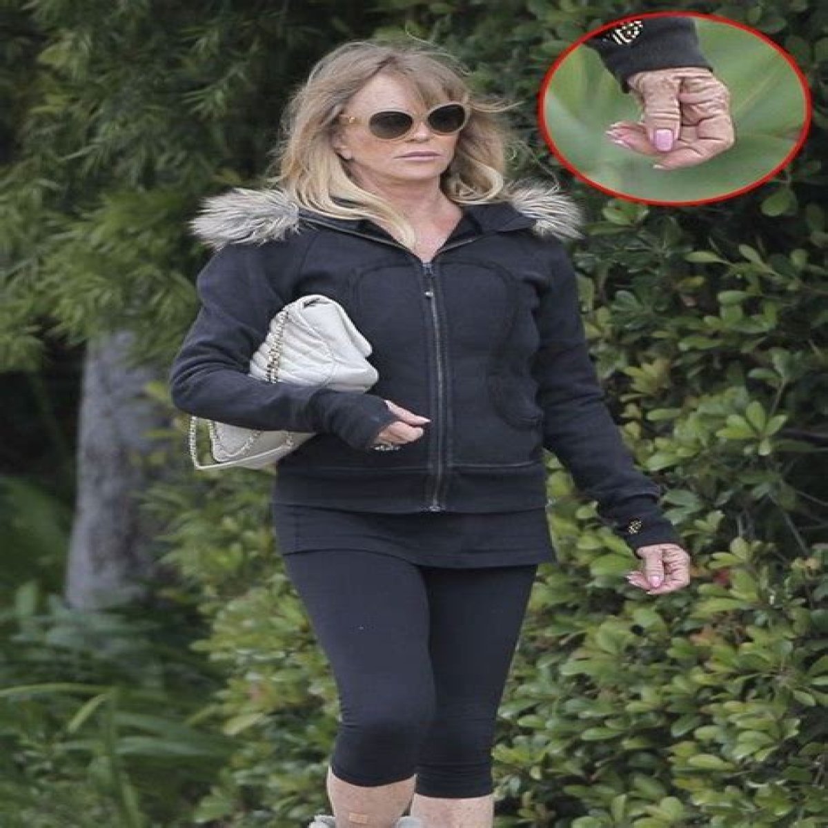 Goldie Hawn Shockingly Old and Withered Hands Contrast With Plastic Surgery Face