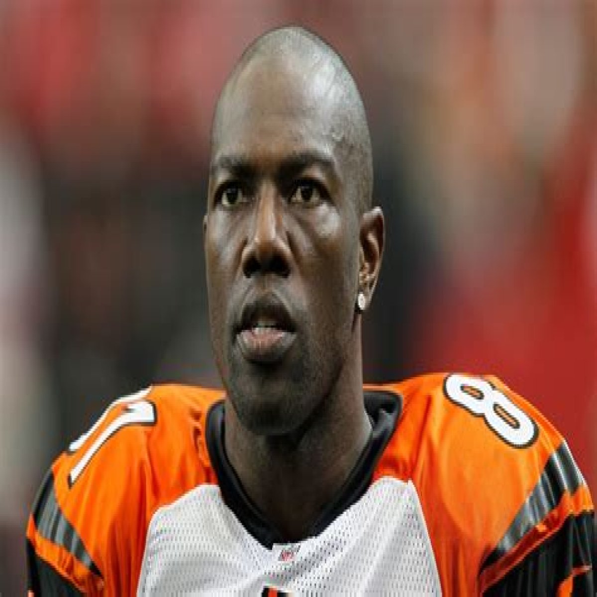 Terrell Owens Monthly Child Support $44K, Tells Judge He's Broke